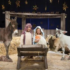 Cheap 👍 Nativity Décor Kit - 7 Pc. 😉 -Party Decorations Shop 13815257
