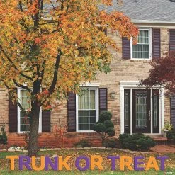 Budget ⭐ Purple & Orange Trunk or Treat Letter Kit 🔥