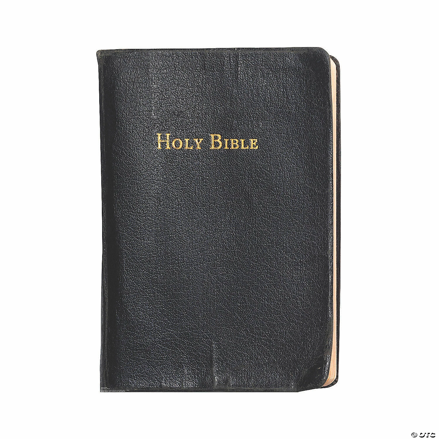 Budget π The Holy Bible Cardboard Stand-Up π₯° 2 Budget π The Holy Bible Cardboard Stand-Up π₯° - Image 2